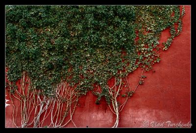 DSC_28819_ps.jpg