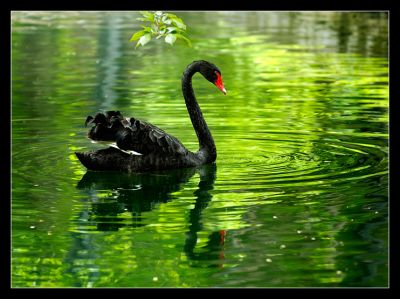 DSC_29171_rs.jpg