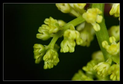 DSC_29576_rs.jpg