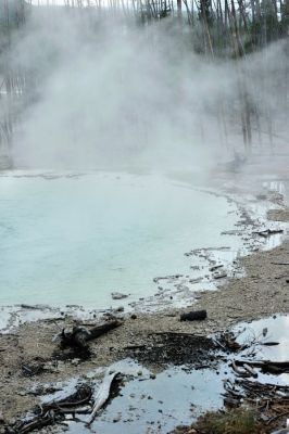 DSC_3250.JPG