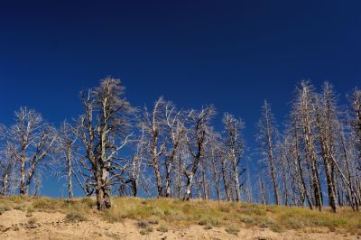 DSC_3322.JPG