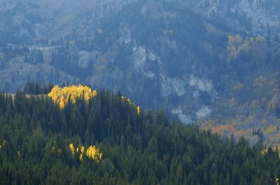 DSC_4516_rs.jpg