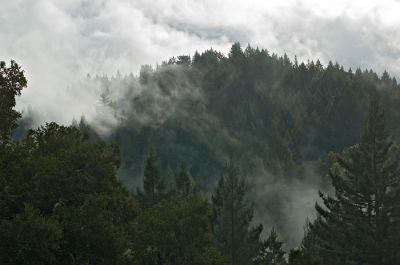 DSC_4975_rs.jpg