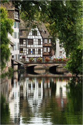 DSC_5720_rs.jpg