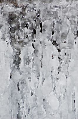 DSC_5916_rs.jpg