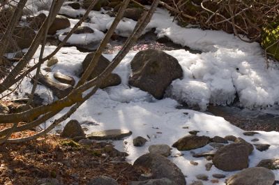 DSC_5940_rs.jpg