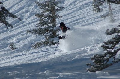 DSC_6073_rs.jpg
