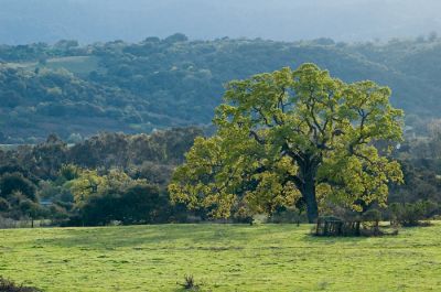 DSC_6807_rs.jpg