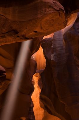 DSC_7504_rs.jpg