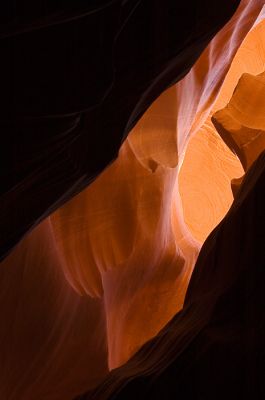 DSC_7567_rs.jpg