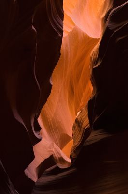 DSC_7569_rs.jpg