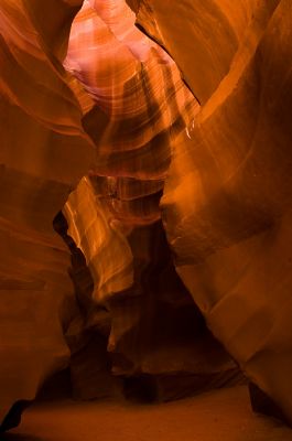DSC_7611_rs.jpg