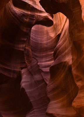 DSC_7621_rs.jpg