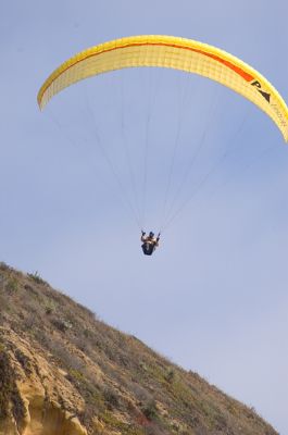 DSC_8546_rs.jpg