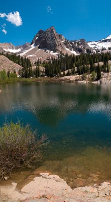 DSC_8979-80-81-pan_rs.jpg