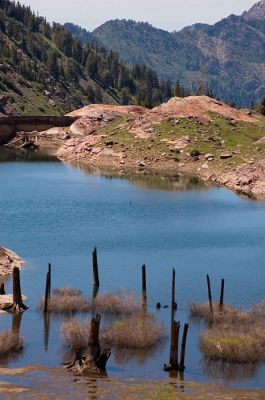 DSC_9023_rs.jpg