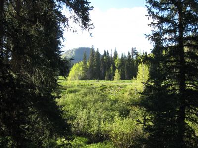 IMG_0735.JPG