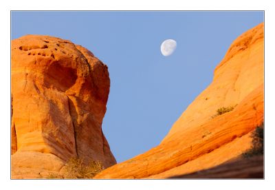 _DS00252_rs.jpg
