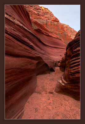 _DS00281_rs.jpg