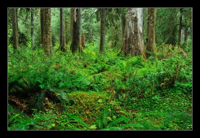_DS01038_rs.jpg