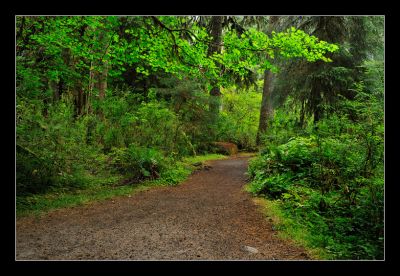 _DS01042_rs.jpg