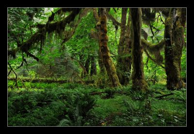 _DS01052_rs.jpg