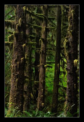 _DS01058_rs.jpg