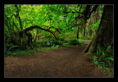 _DS01059_rs.jpg