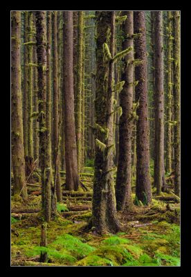 _DS01067_rs.jpg