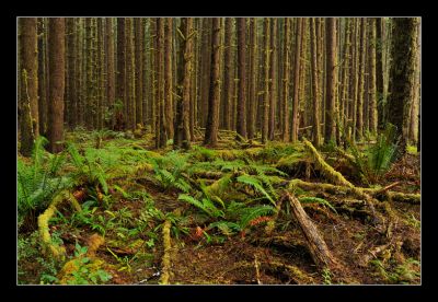 _DS01069_rs.jpg
