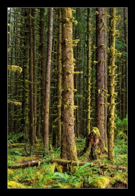 _DS01095_rs.jpg