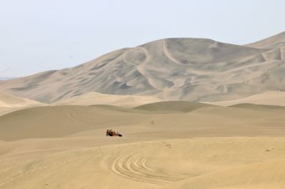 _DS03555.JPG