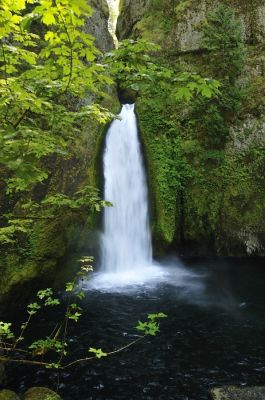 _DS08026.JPG