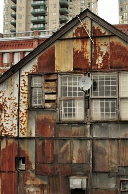 _DS08829.JPG