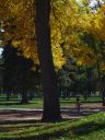 DSC01106_rs.jpg