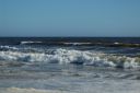 DSC_0797.jpg