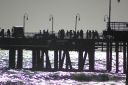DSC_0827.jpg