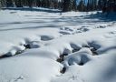 DSC_15748_rs.jpg