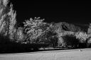 DSC_19596_rs.jpg