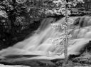 DSC_21713_rs.jpg