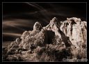 DSC_24477-8_ps.jpg