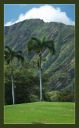 DSC_26361--3_rs.jpg