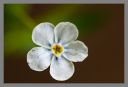 DSC_29474_rs.jpg