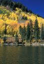 IMG_7604_003_rs.jpg