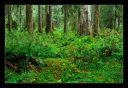 _DS01038_rs.jpg