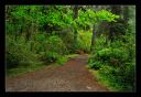 _DS01042_rs.jpg