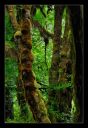 _DS01053_rs.jpg